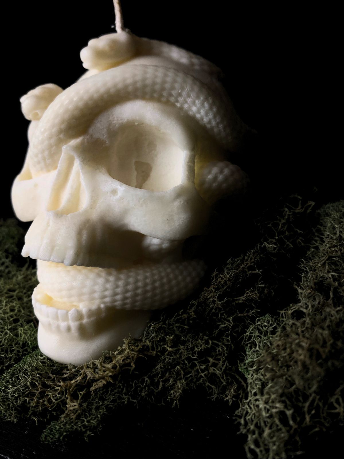 Skull & Serpent Candle